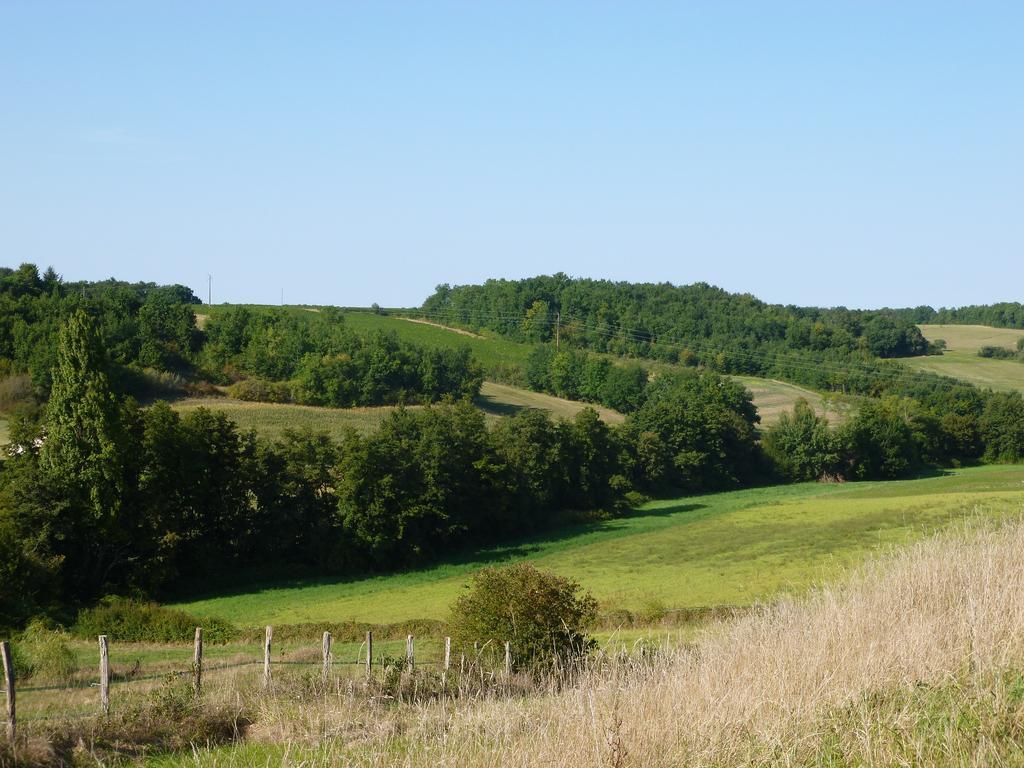 Ancien Haras De La Tour Panzió Lamothe-Landerron Kültér fotó